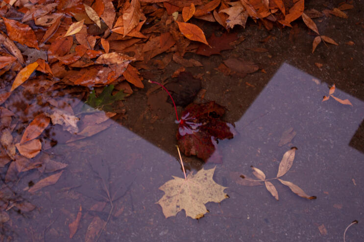 Untitled Untitled