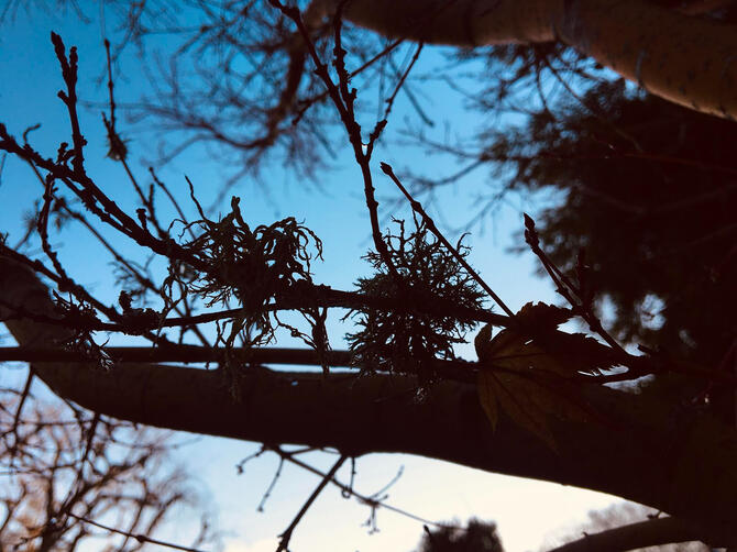 Untitled Untitled